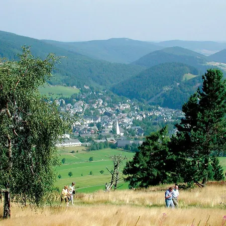 Ferienwohnung Nelly Am Kurpark Willingen  Exterior photo