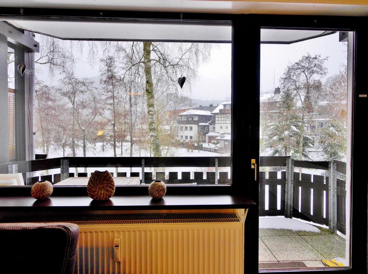 Apartment Nelly Am Kurpark Willingen (Upland)